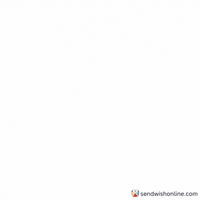 Oh My Gosh Wow GIF by sendwishonline.com