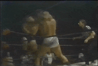 kevin sullivan wrestling GIF