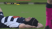 Agen_Rugby wake up martinez sua top14 GIF