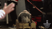 ice hockey sport GIF by NHL