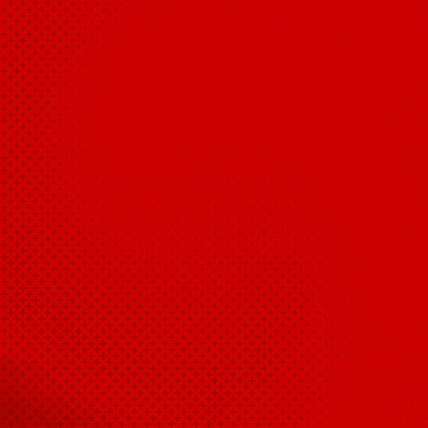 Bayer 04 Bundesliga GIF by Bayer 04 Leverkusen