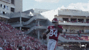 College Football Touchdown GIF by Arkansas Razorbacks