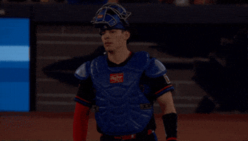 Blue Jays Dog GIF by Toronto Blue Jays