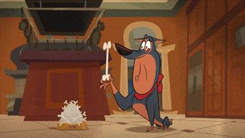 Dog Raccoon GIF by Taffy