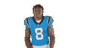 North Carolina Reaction Sticker by Carolina Panthers