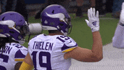 American Football GIF by Minnesota Vikings