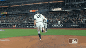 GIF by MLB