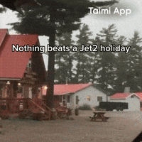 Disaster GIF by Taimi