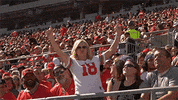 College Football Dance GIF by Ohio State Athletics