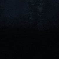 Stalker Quit GIF by GSC Game World