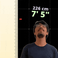 7 Foot 7Ft GIF