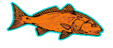 Red Drum Fishing Sticker by Put Me Outside
