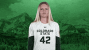 Volleyball GIF by Colorado State Rams