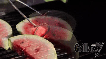 fruit grilling GIF by Grillax®