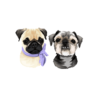 Dog Puppy Sticker by Pickle's Pawtraits