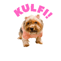 Puppy Love Sticker