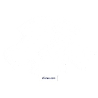 zforexglobal forex broker trader investor Sticker