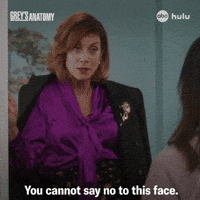 Cant Say No Greys Anatomy GIF by ABC Network