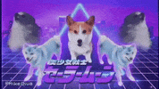 dog meme GIF by Mike Diva