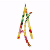 annacortinaoficial artmeetsfashion annacortina anna cortina annacortinaoficial GIF