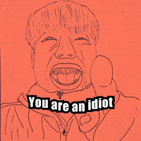You Are An Idiot GIF