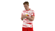 Football Ok Sticker by RB Leipzig