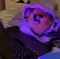 Work From Home What GIF