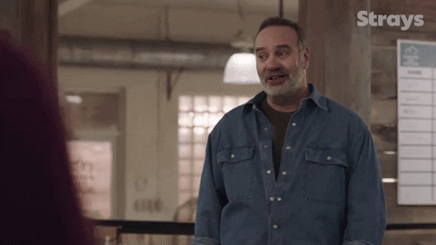 Cbc GIF by Strays