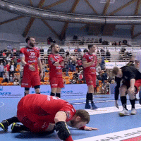 Handball Superliga Thank You GIF by Superliga