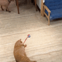 Pelota Interactivo GIF by Cómpralo en Casa