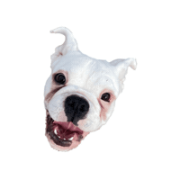 resort4pets  Sticker