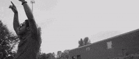 Waving Curtis Harding GIF by ANTI- Records