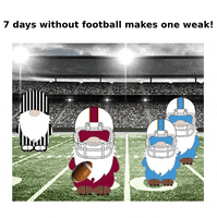 Football GIF
