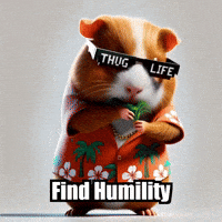 GIF by Guinea Gambino