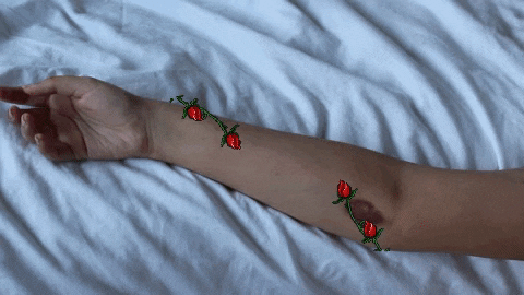 aminak giphyupload GIF