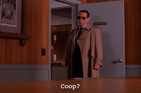 season 2 albert rosenfield GIF by Twin Peaks on Showtime