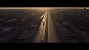 indiana GIF
