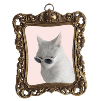 Cat In Sunglasses Sticker