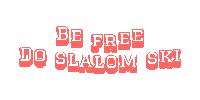Ski Slalom Sticker by Celadon Watersports