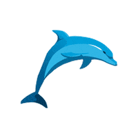 Sea Dolphin Sticker by Energia Italia