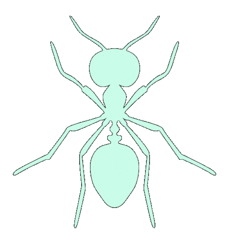 Fashion Week Sunglasses Sticker by Marcel Katz Dalí / The Art Plug