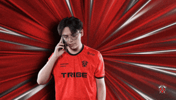 Hold On Esports GIF by Tribe Gaming