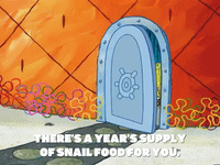 season 5 GIF by SpongeBob SquarePants