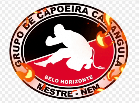 GrawitacjaSportAcademy capoeira grwcrew grawitacja grwfamily GIF