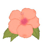Summer Flower Sticker