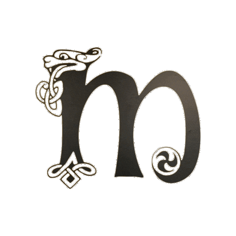 Champions Irish Sticker by Ashling Daly