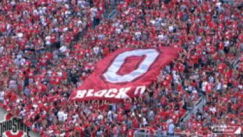 Ohio State Sport GIF by Ohio State Athletics