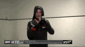 Sport Mma GIF by UFC