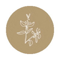 Sticker Fall Sticker