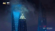 shang hai GIF